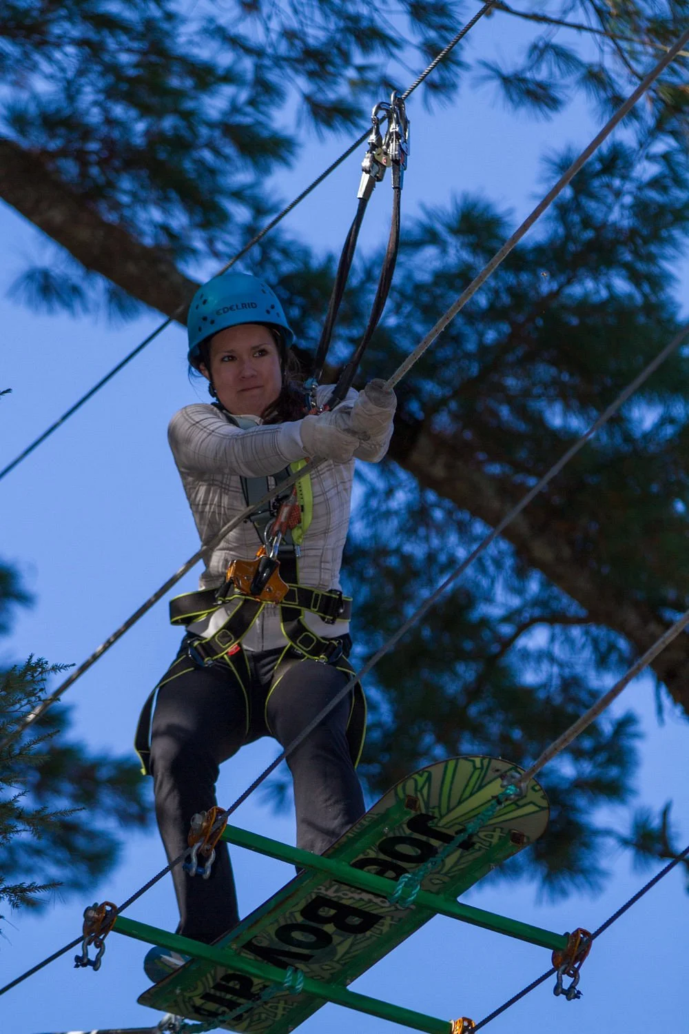 ONTREE Fun & Adventure Park
