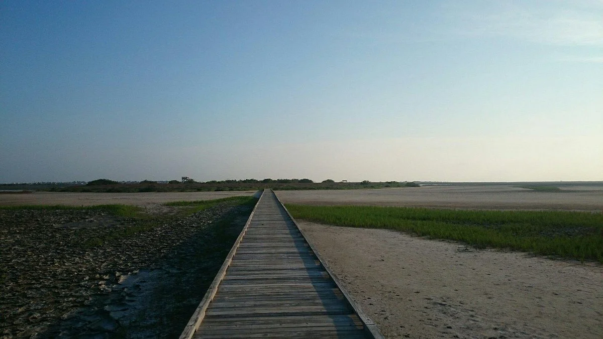 Port Aransas Nature Preserve at Charlie's Pasture