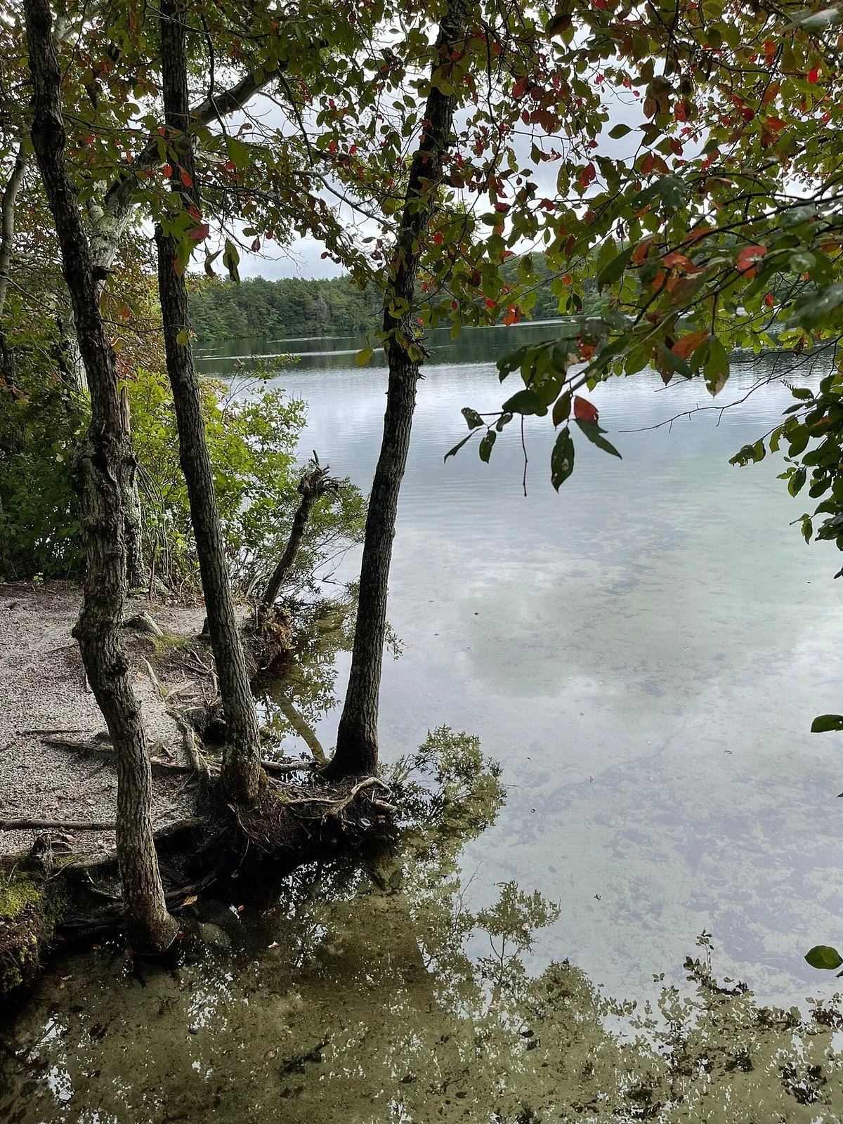 Little Sandy Pond and Horse Pond