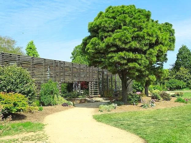 JC Raulston Arboretum at NC State University