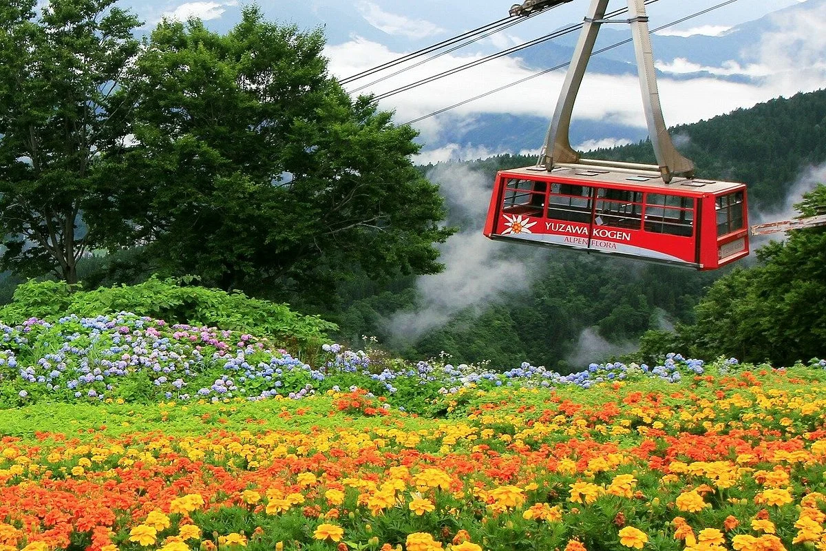 Yuzawa Highland Alpine Garden