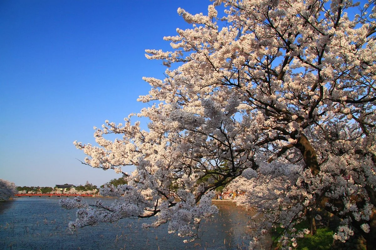 Takada Park