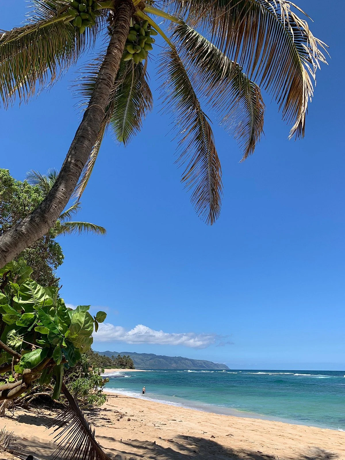Lost Survivors Beach Camp