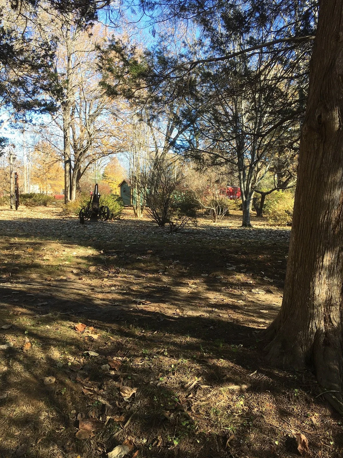 Oaklawn Garden