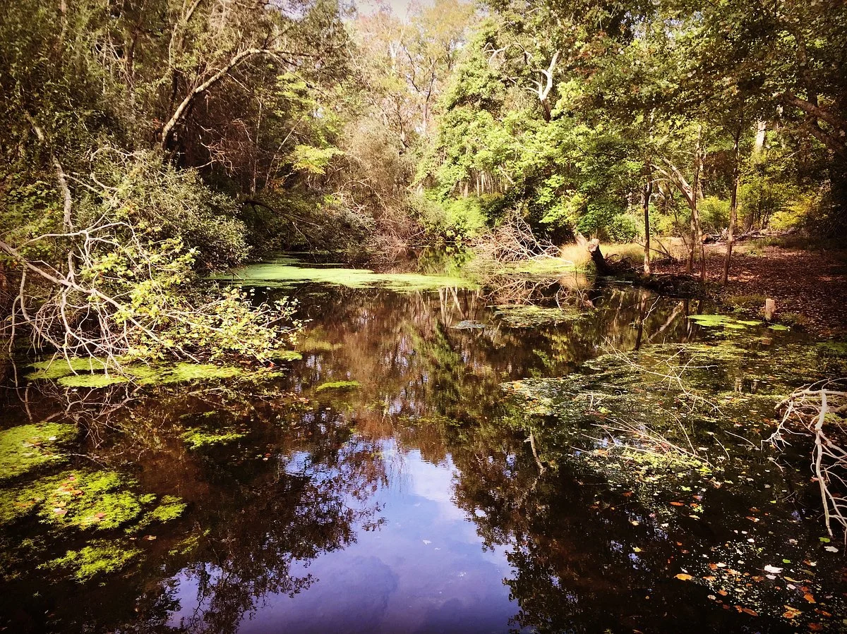 Caleb Smith State Park Preserve