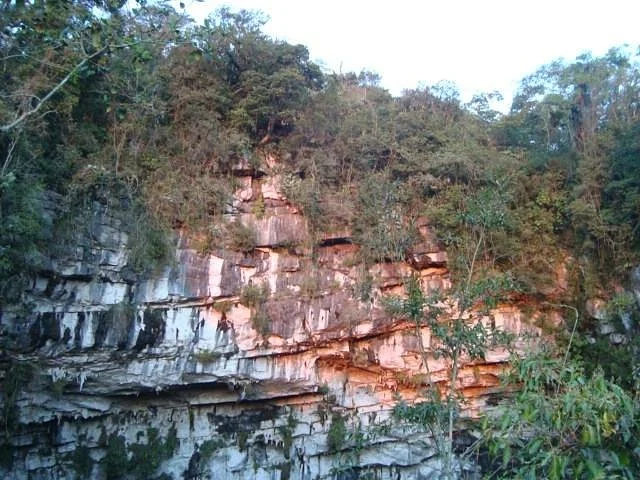 The Cave of Swallows
