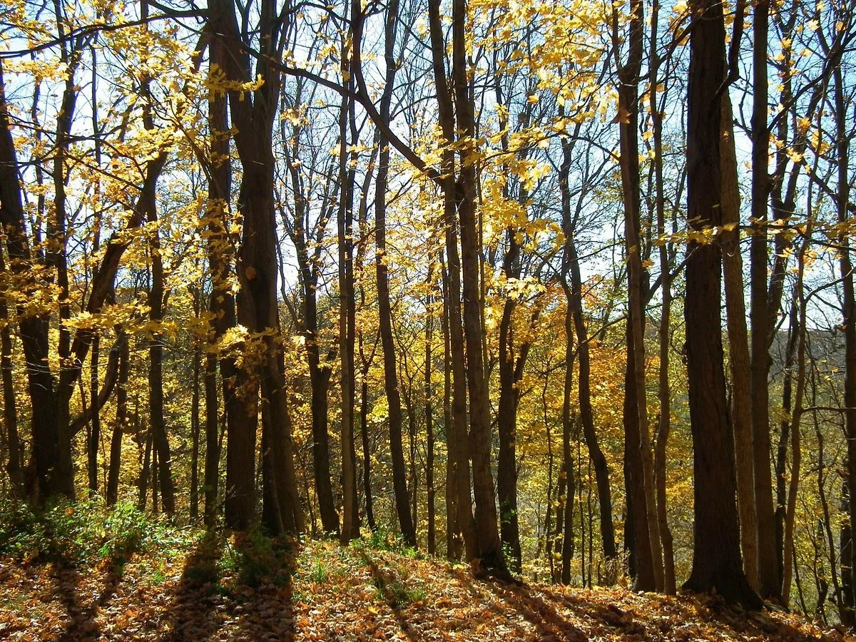 Kennekuk County Park