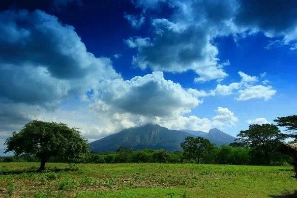 Baluran National Park