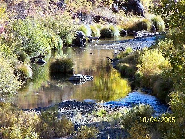 Biz Johnson Trail