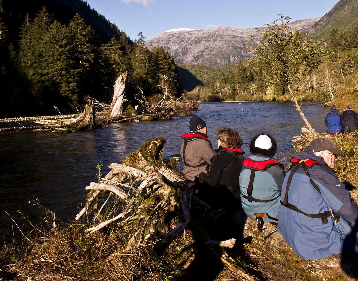 Great Bear Rainforest