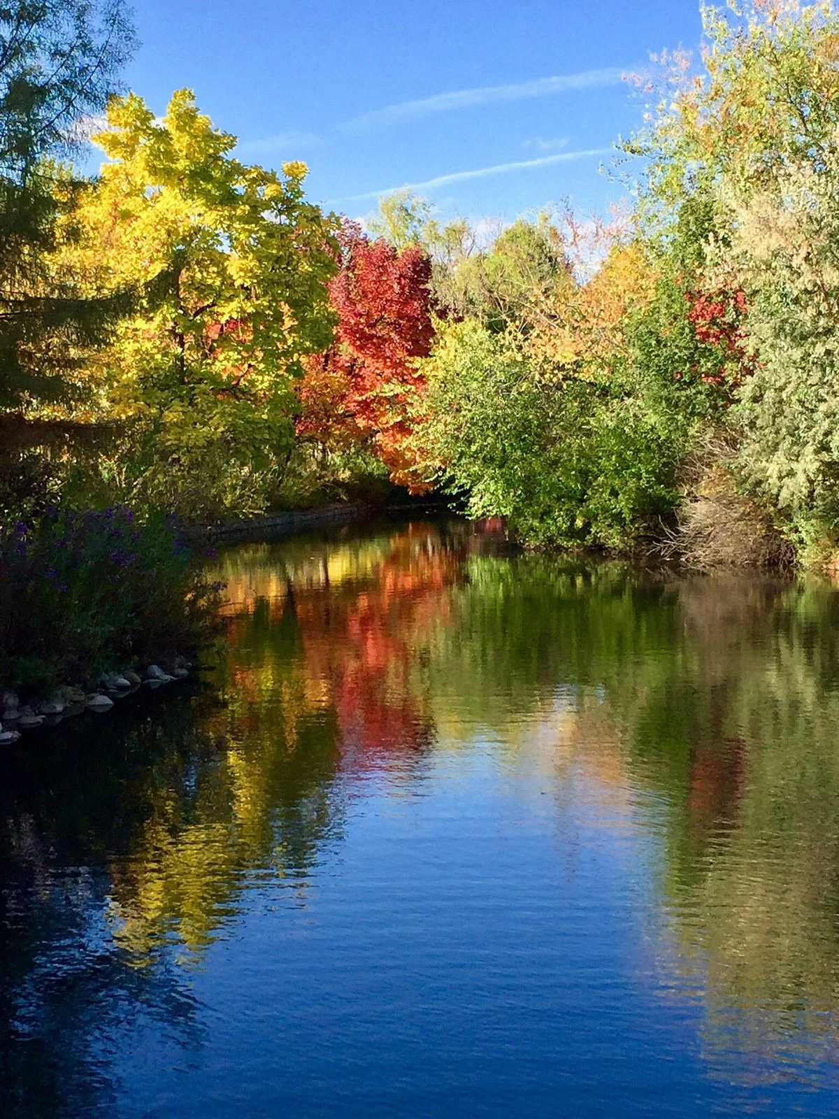 Kathryn Albertson Park