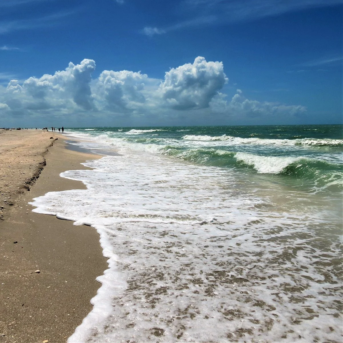 Tarpon Bay Beach