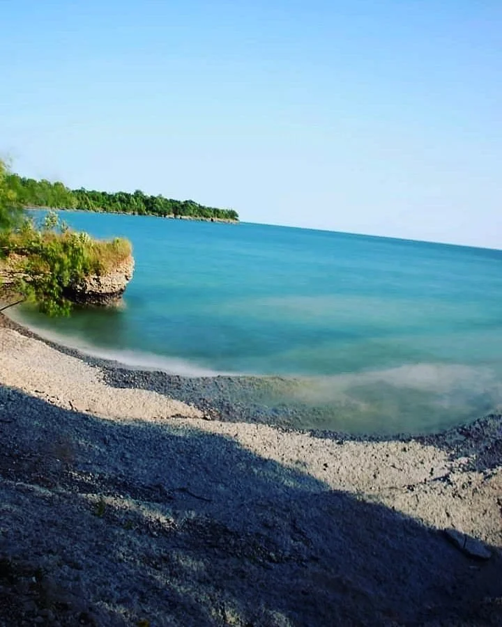 Point Petre Wildlife Conservation Area