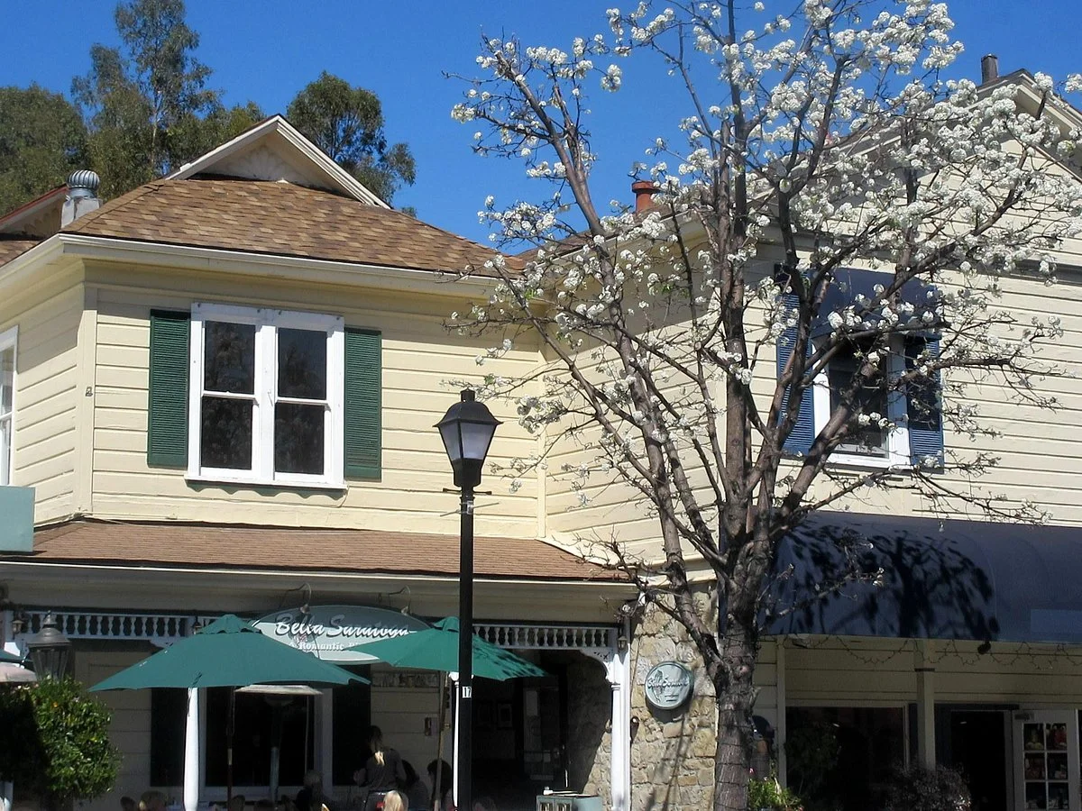 Historic Saratoga Village