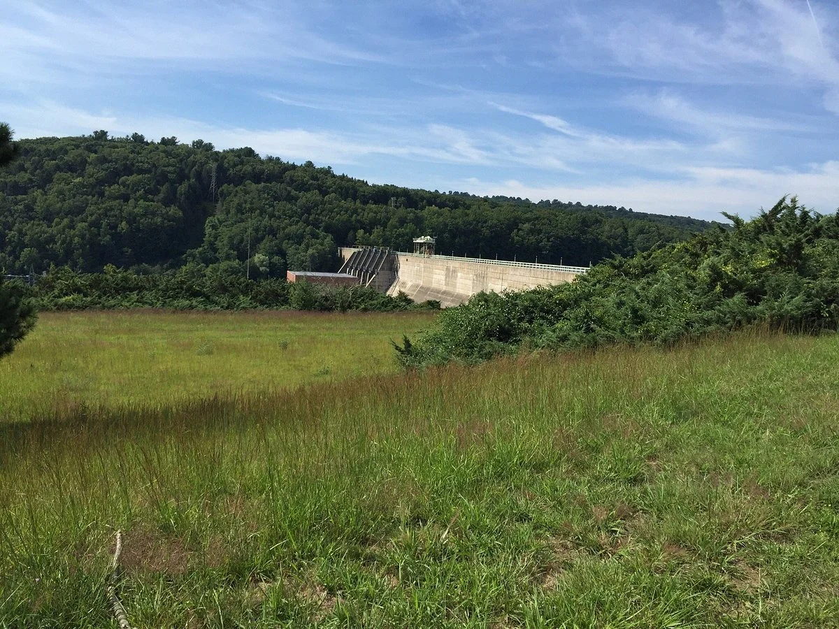 Shepaug Eagle Observation Area