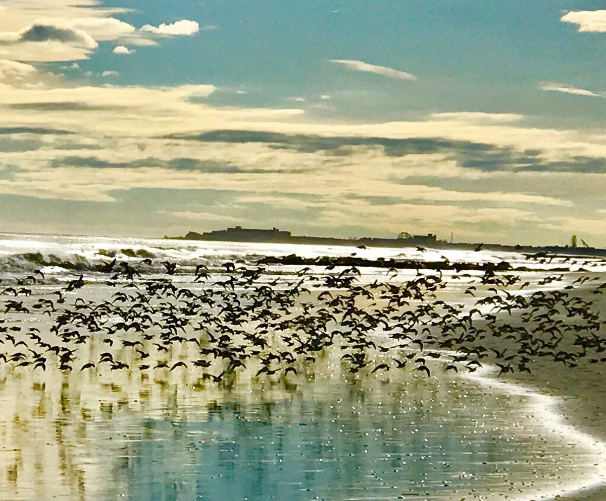 Stone Harbor Point