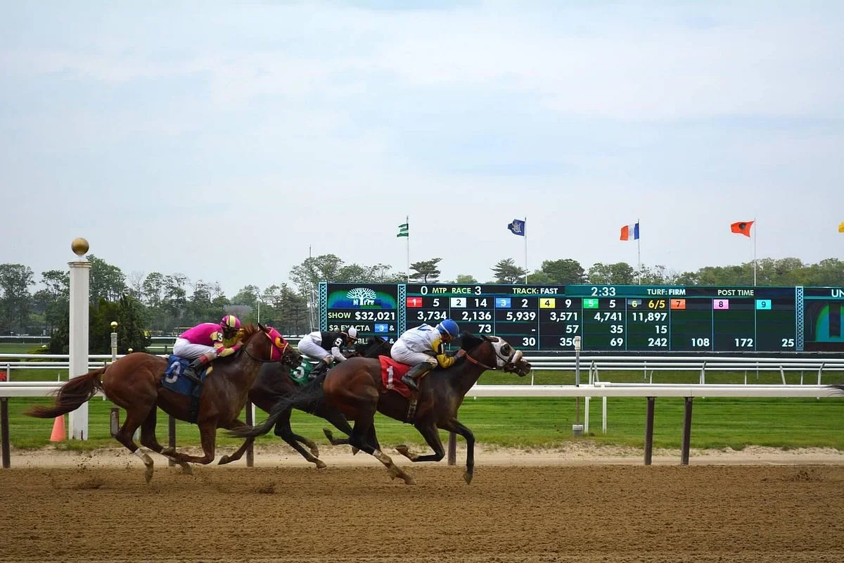 Belmont Park Race Track