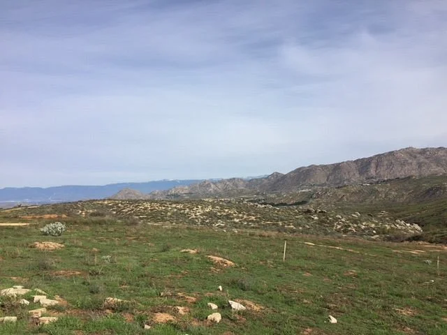 Sycamore Canyon Wilderness Park