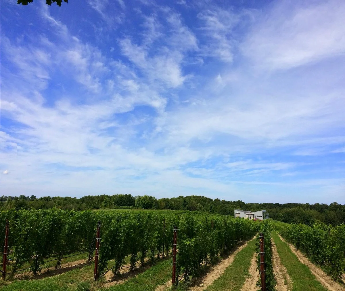 2 Lads Winery
