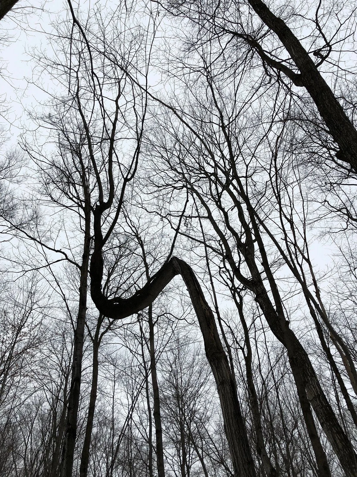 GeoTime Trail