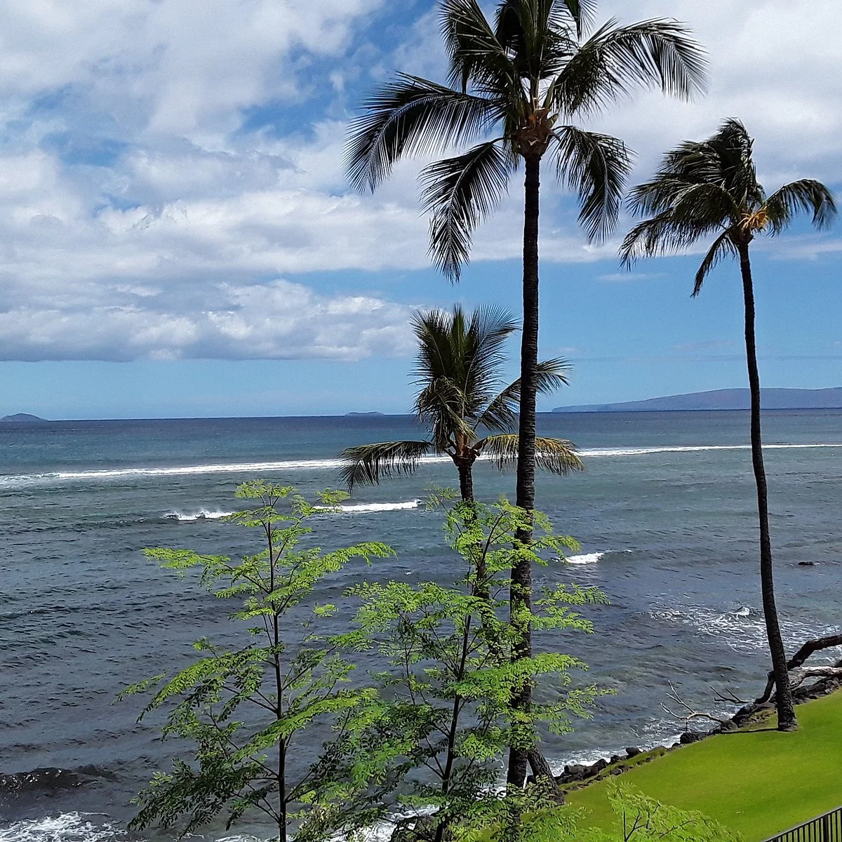 Maalaea