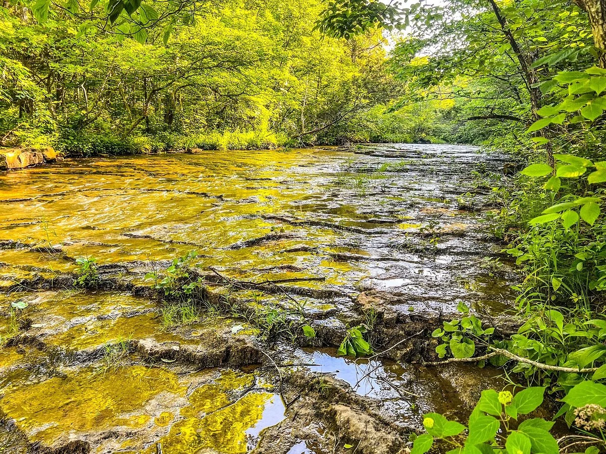 St. Francois State Park