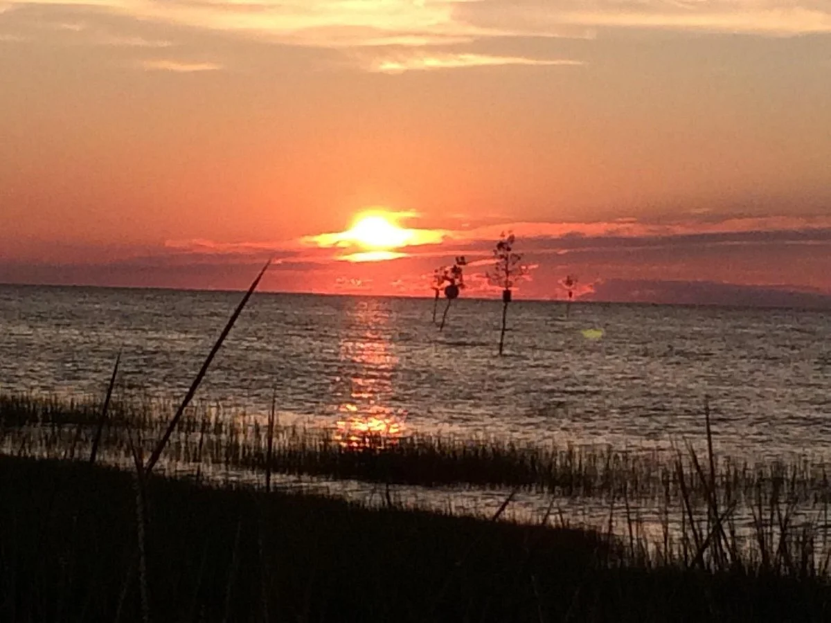 Rock Harbor Marsh