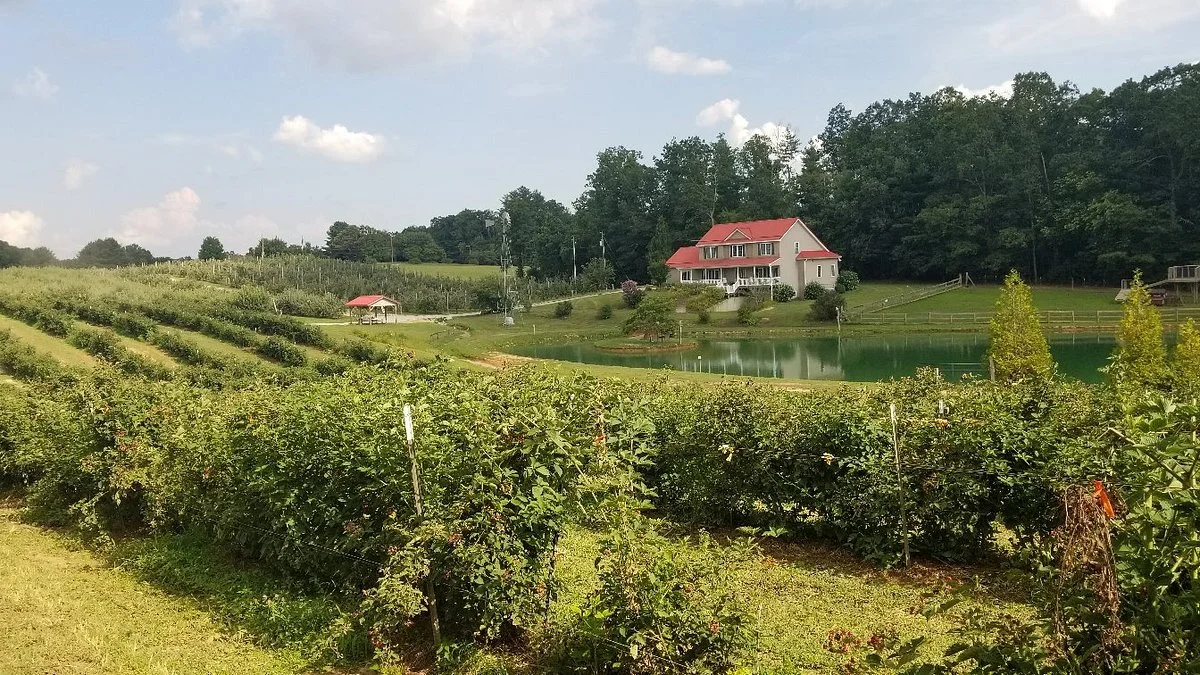 Justus Orchard