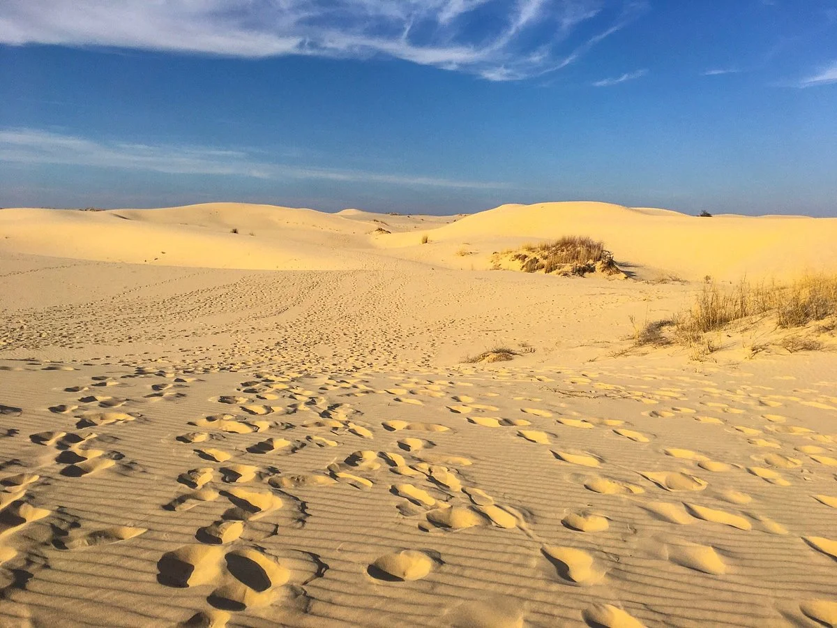 Monahans Sandhills State Park
