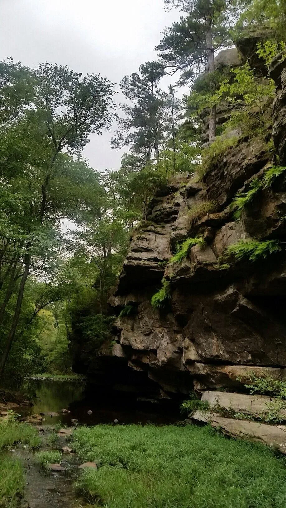Hawn State Park