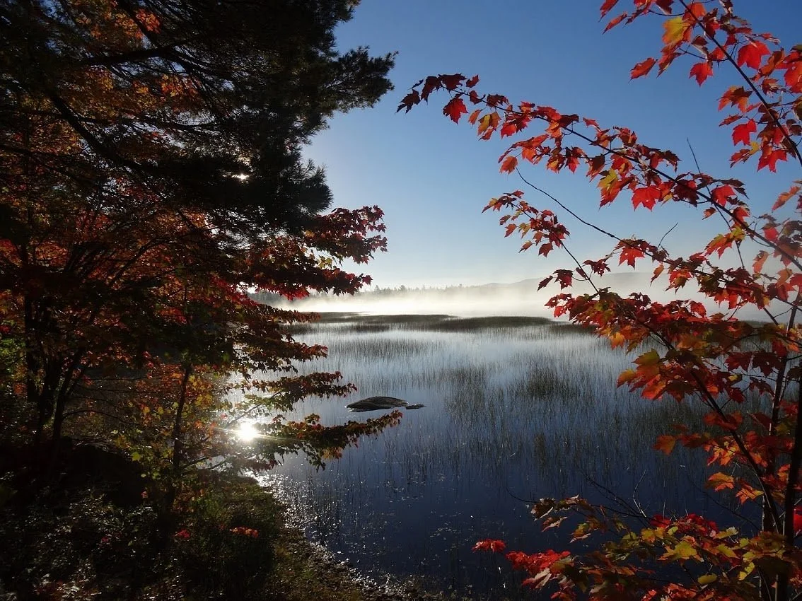 Lake Lila Primitive Area