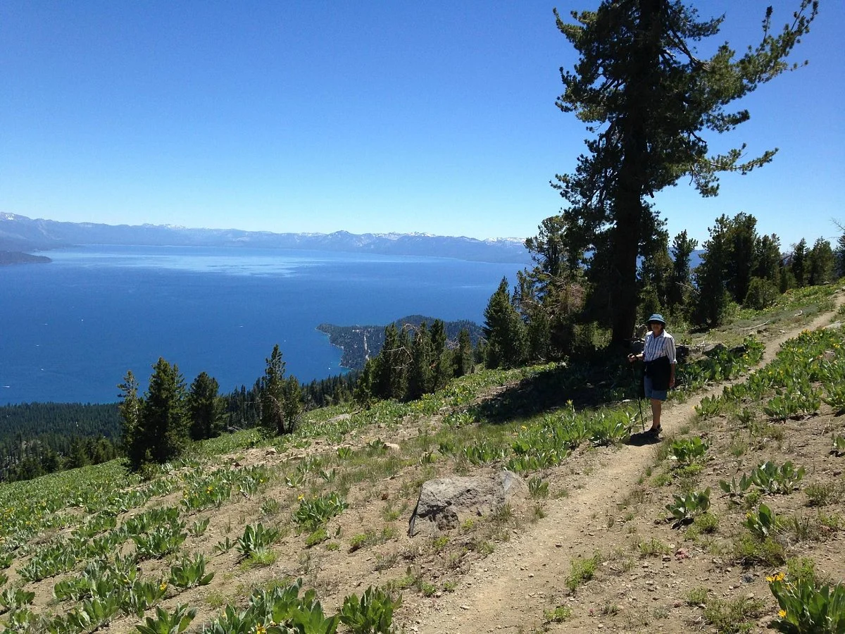 Tahoe Meadows Trail