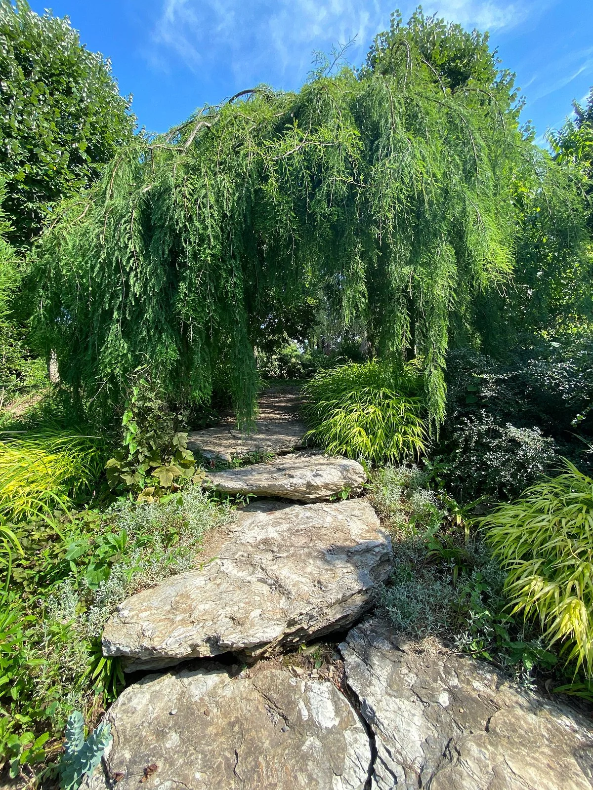 Paxson Hill Farm and Gardens