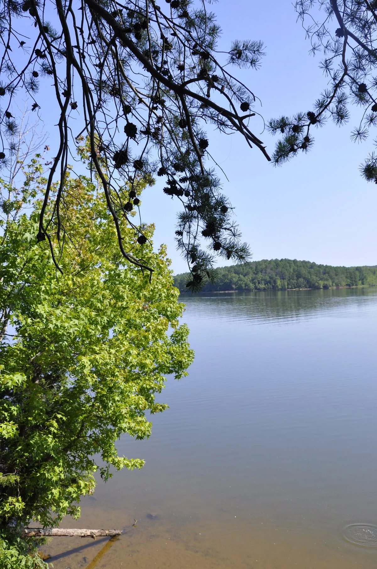 Lake Wateree State Park