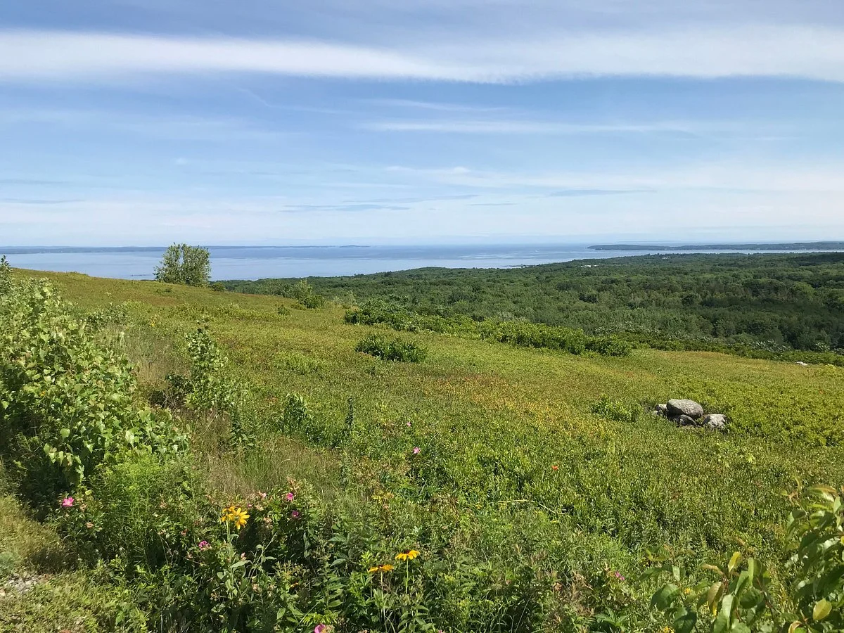 Beech Hill Reserve