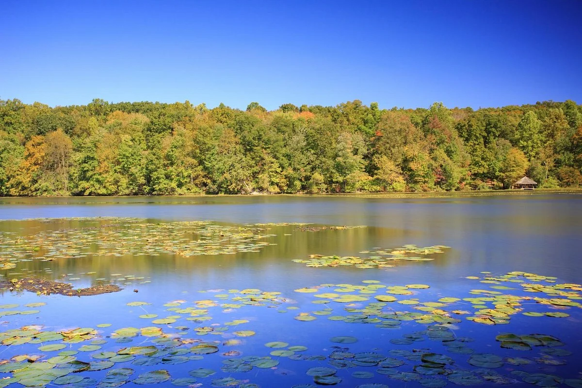 Teatown Lake Reservation