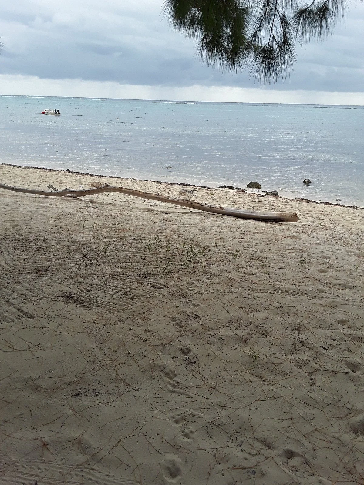 Library Beach