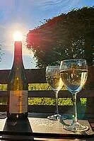 Tarpon Springs Castle Winery