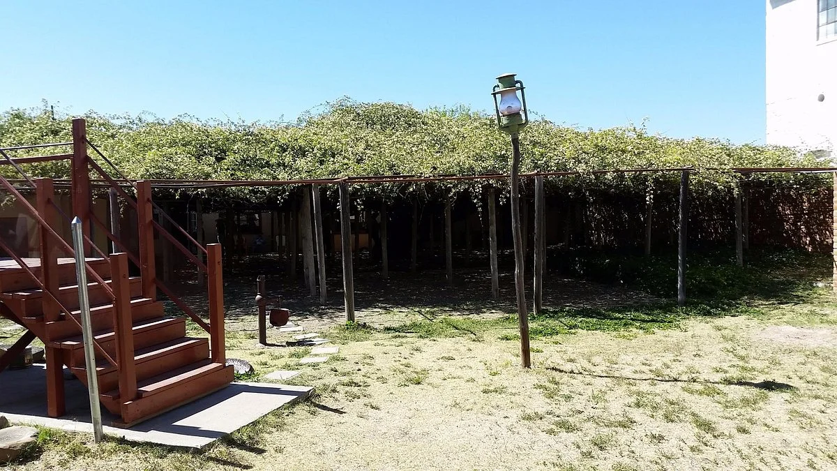 Rose Tree Museum