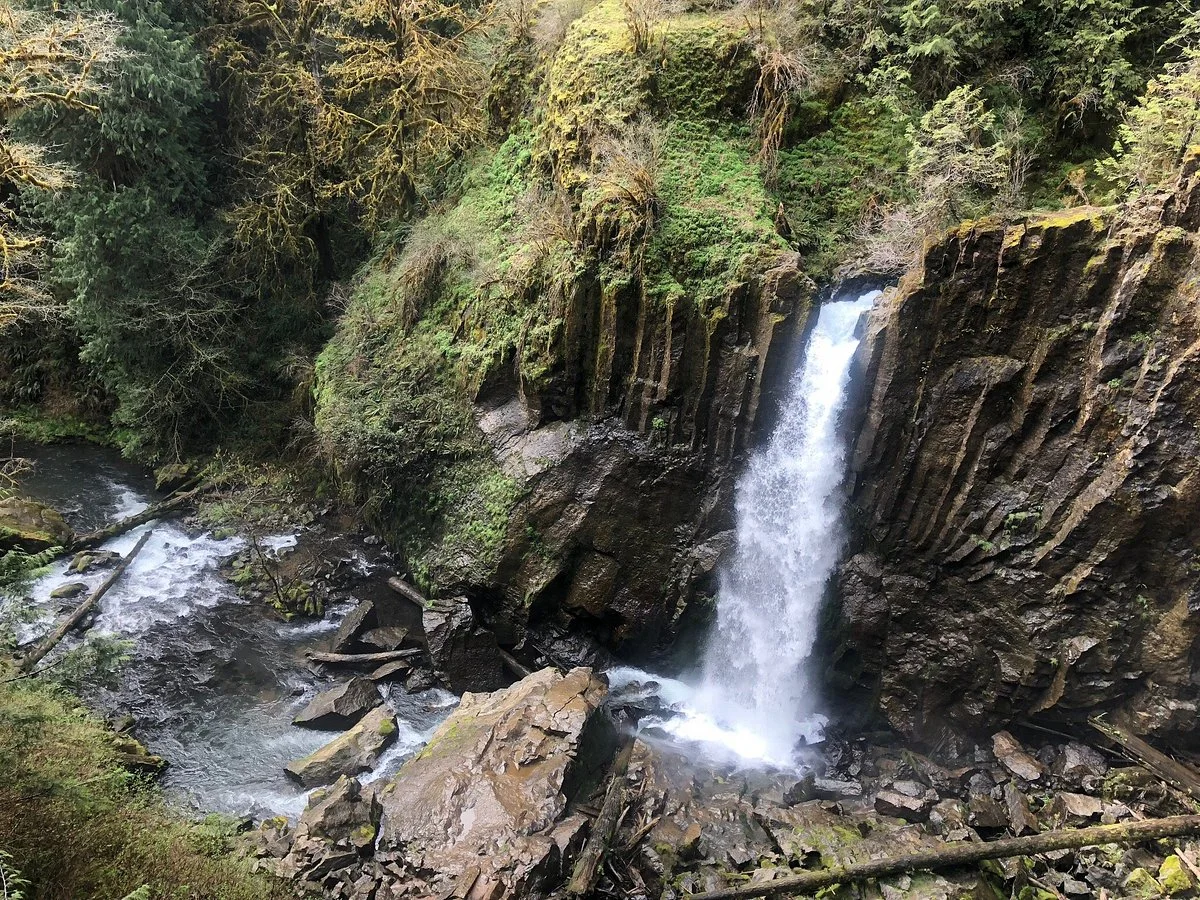 Drift Creek Falls Trail