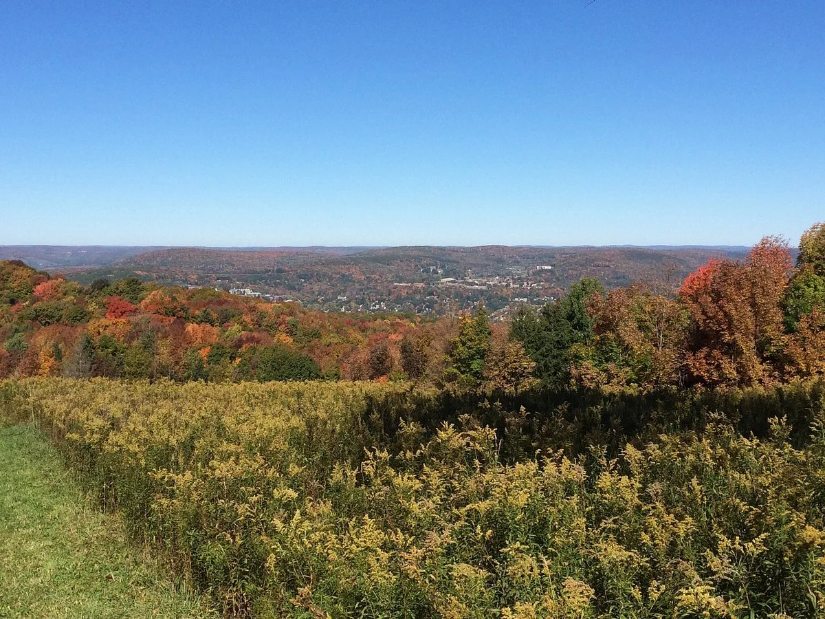 Delaware Otsego Audubon Soc. Sanctuary