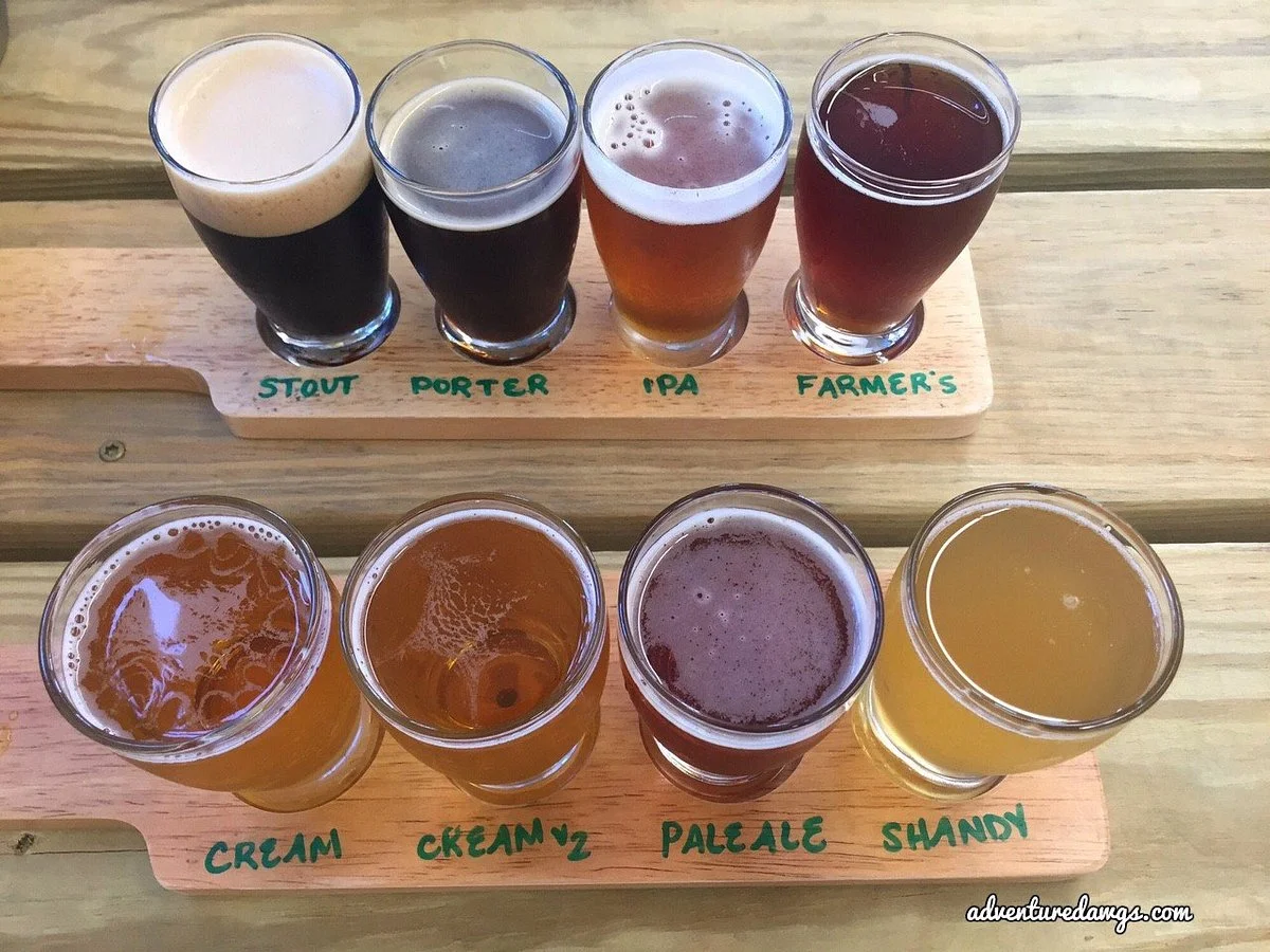 Hawksbill Brewing Co