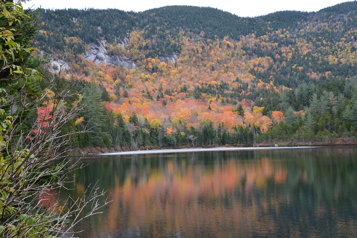 Sawyer Pond Trail