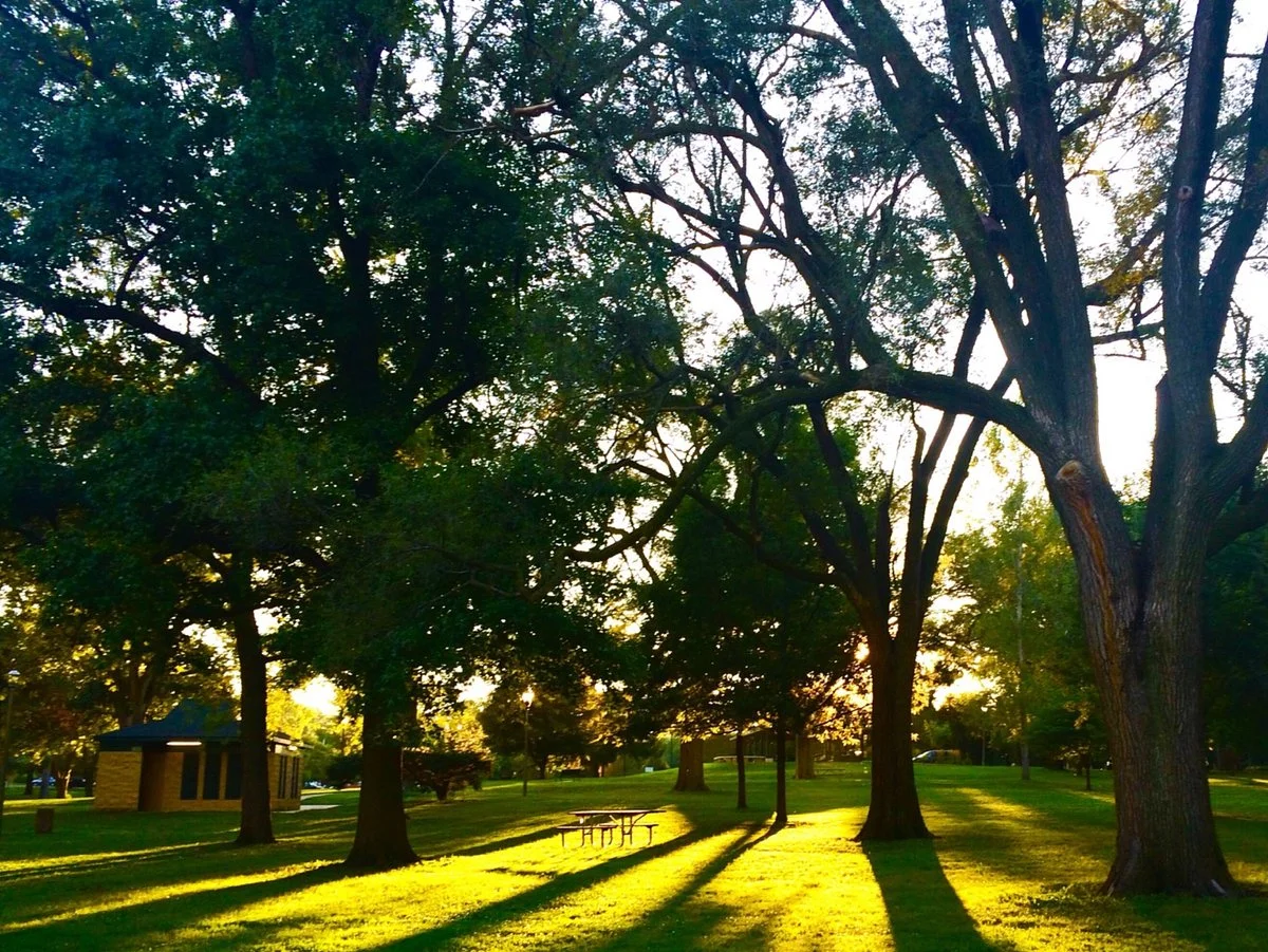 Hessel Park