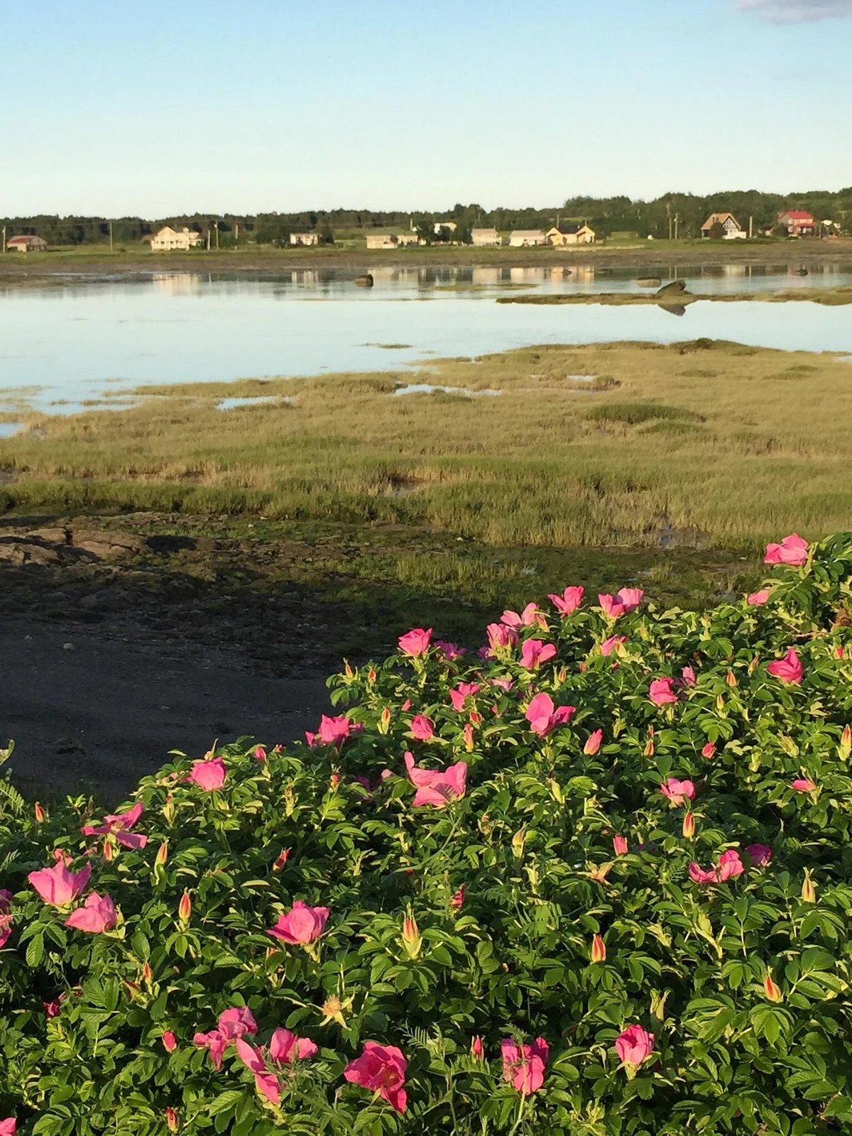 Parc de L'anse de la Roche a Caya