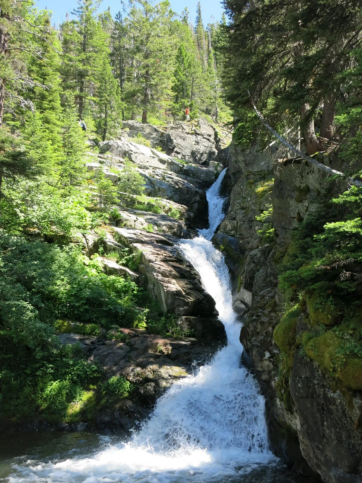 Aster Falls