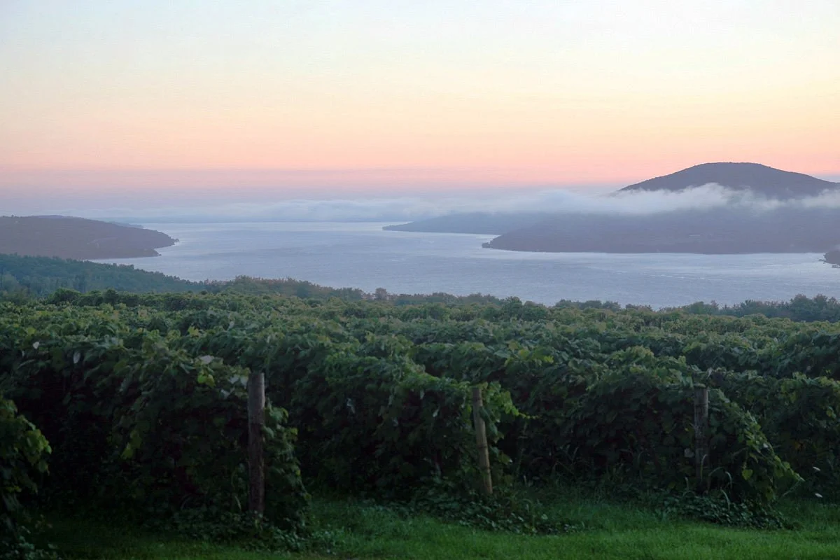 Canandaigua Lake Wine Trail