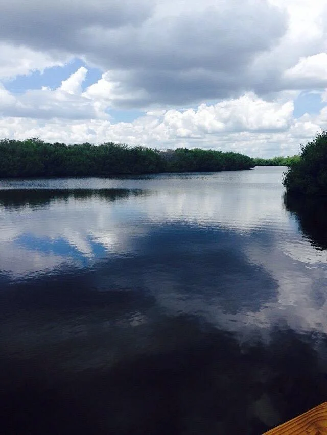 Charlotte Harbor