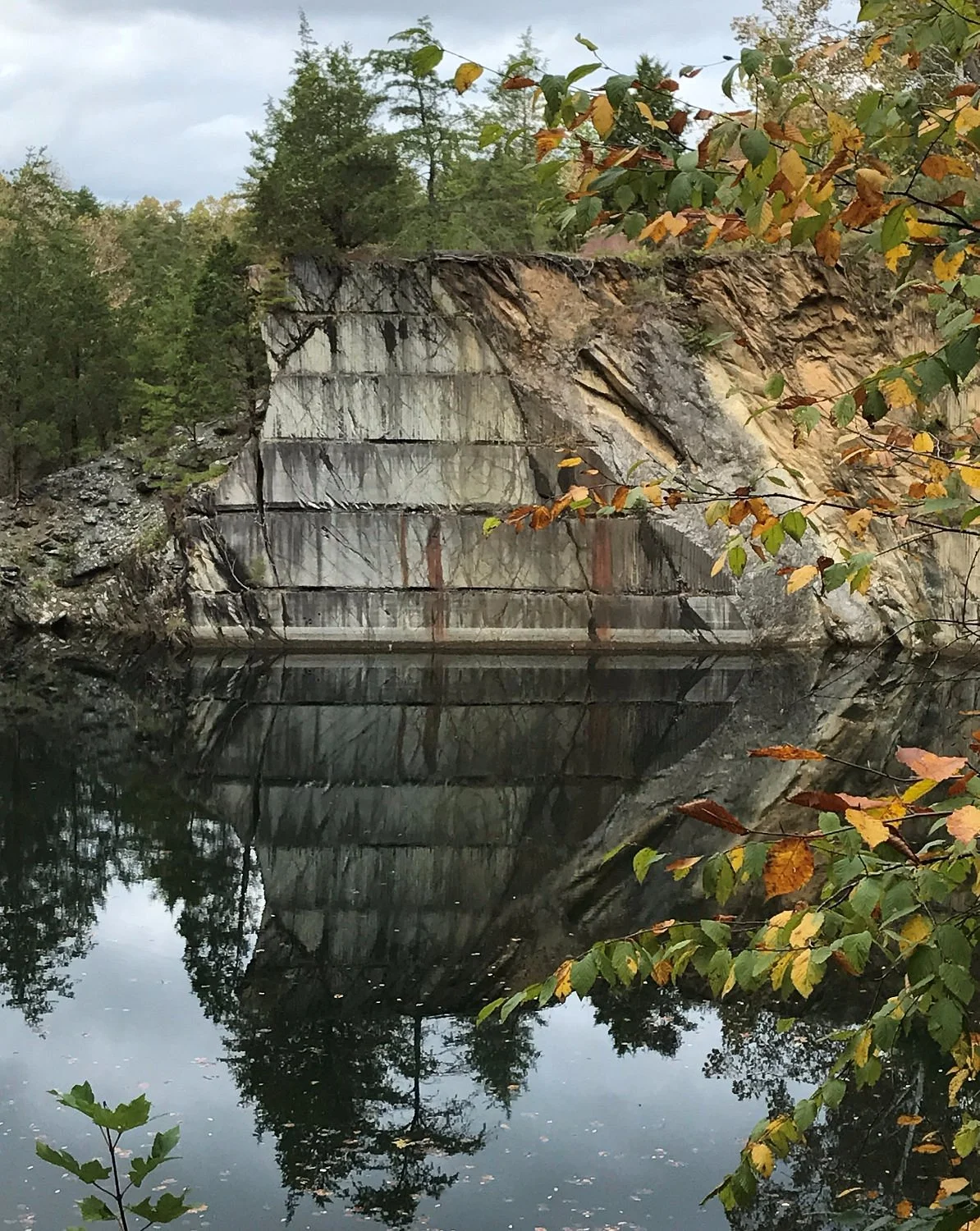 The Quarry Gardens