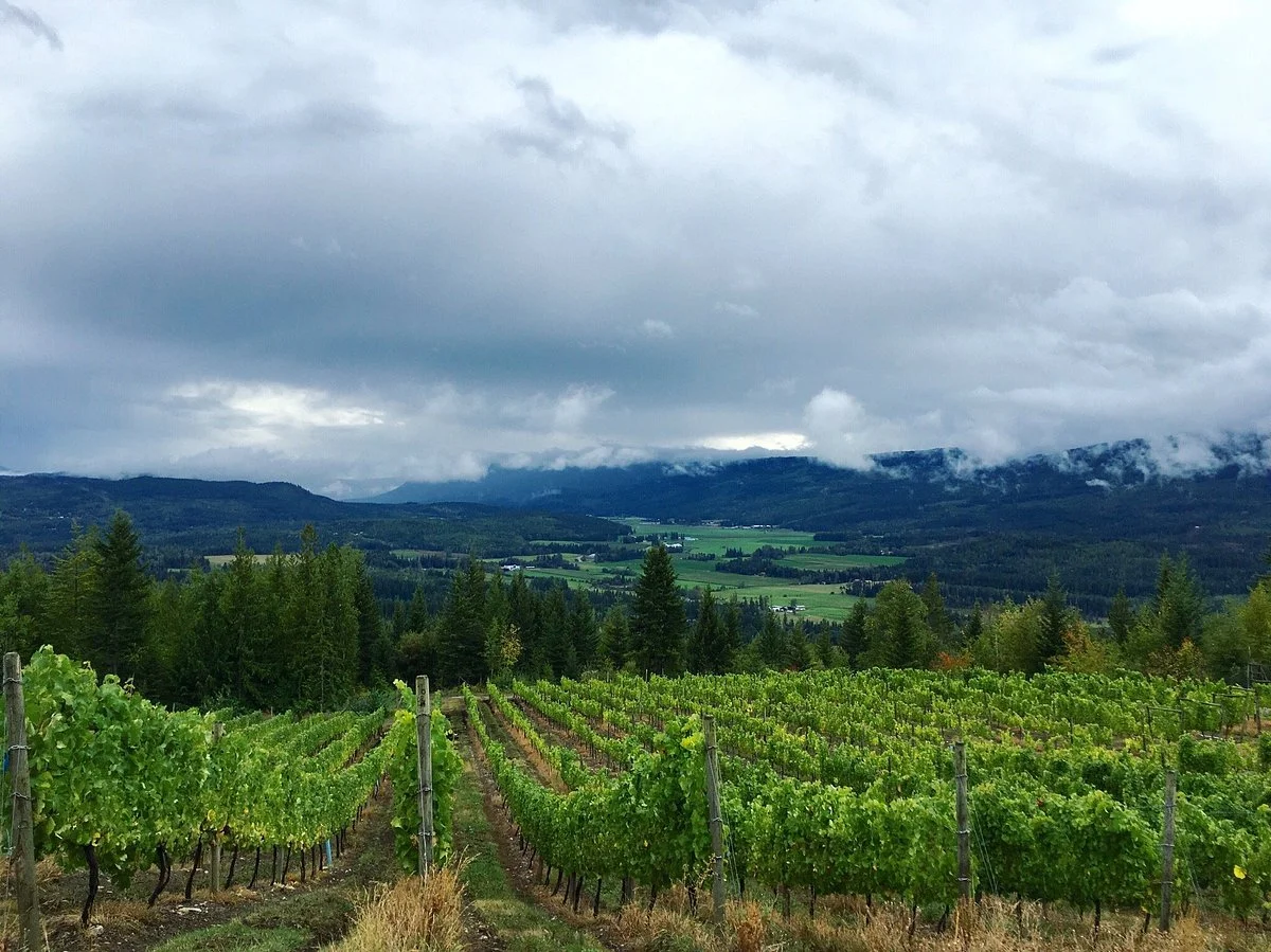 Larch Hills Winery